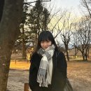 Tarteo(타르트에오) 이미지