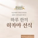 하루올담