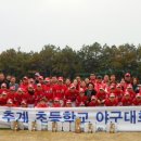 추계초등학교 이미지