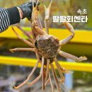 대포대게활어회마트 | 속초 대게 맛집 대포항 수산시장 포장 가능한 가성비 회센터