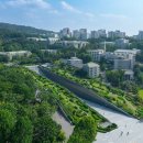 뮤직타운21세기 - 20254 | 뮤직타운21세기