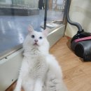 (주)애니카랜드수완점 | 관찰일기, 추석연휴를 잘 보낸 자의 소소한 행복