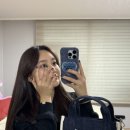 히포레스트(Hipporest) 이미지