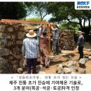 성읍리초가장 이미지