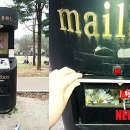 황금비늘 테마거리 이미지