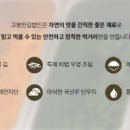 정직한김밥 이미지