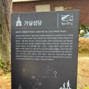 성안나성당 앞 인도 | 한티가는길 1구간(돌아보는 길) 25.10.16