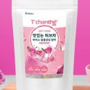샹떼 이미지