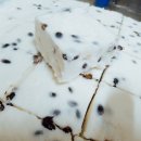 문원방앗간 이미지