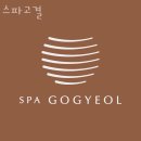스파고결 이미지