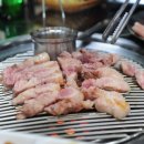 참돈 이미지
