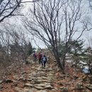 푸른숲과일 (옥길) | 정동진 괘방산 산행기 바다와 숲 그리고 망치 매운탕의 행복