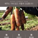 싱그린영농조합법인