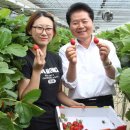 해병농장 이미지