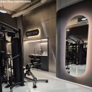Back Gym(백짐) | 삼성동 PT 백짐 1:1 프리미엄 피티 후기