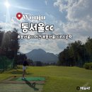 강원그린에너지 | 원주 노캐디 동서울CC 코스 평일 야간 코스 공략 조인 후기