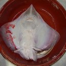 홍어맛 이미지