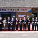 신안동12 이미지