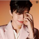 사파동195 이미지