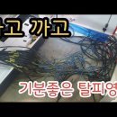 케이블 피복탈피 4SQ 6SQ 작업요령 공개 cable 벗기기 이미지