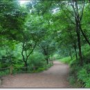 원미공원 이미지