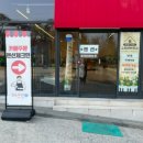 금성애견 이미지