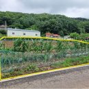 원당리농장 이미지