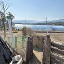 베일리하우스애견펜션 이미지