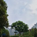 청명고삼거리 이미지