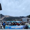 펫크루즈 이미지