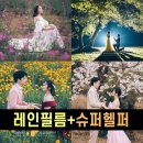 버들슈퍼 - 공주시 | 슈퍼헬퍼 업체 동행 제주 웨딩 스냅 촬영 후기: 제주도 야외 스냅 가격 정보