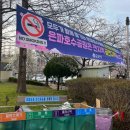 은파호수공원 9-4 | 군산 은파호수 공원 4월 9일 실시간 벚꽃 개화 상태 및 야시장 정보