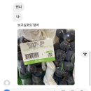 선인자동차(주) | 3월이 후딱....🚶🏻‍♀️