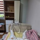 이루아동물병원 | 대왕 겁쟁이 쫄보의 제왕절개 출산 리얼 후기 2-7일차 [순천 미즈여성아동병원]