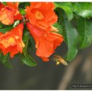 낙동강자전거길6 이미지