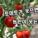 에이비씨써클 이미지