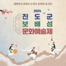진도군 보배섬 문화예술제 티스토리