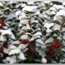 격포초교 이미지