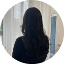 빈트헤어 - 서귀포시 | 빈트헤어