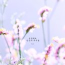 온새미로 이미지