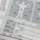 셀포랩포레