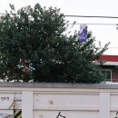 일주일 동안의 기록7