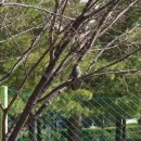 구민문화체육센터극장 이미지