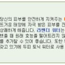 미즈몰