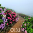 바다가 정원 이미지
