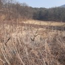 신니면사무소 이미지