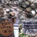 생각나무자연학교 이미지