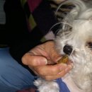 보보소프트 이미지