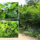 덕상농장 이미지