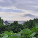 모시개민박 이미지